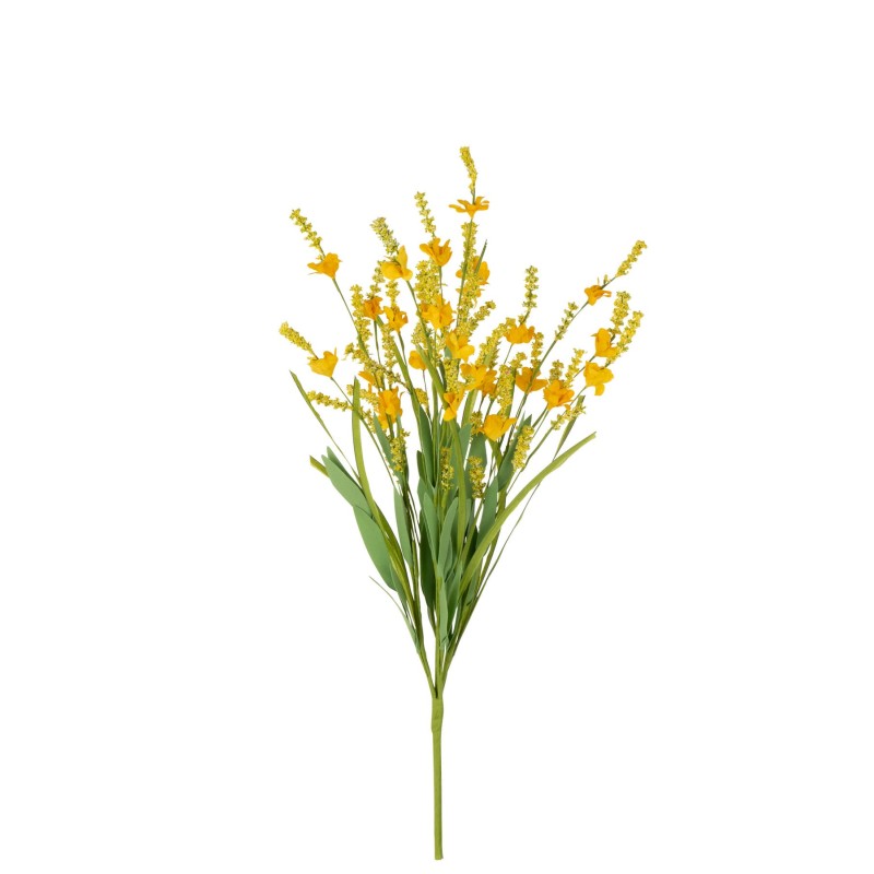 Forsythia en Tige 56