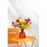 Forsythia en Tige 56
