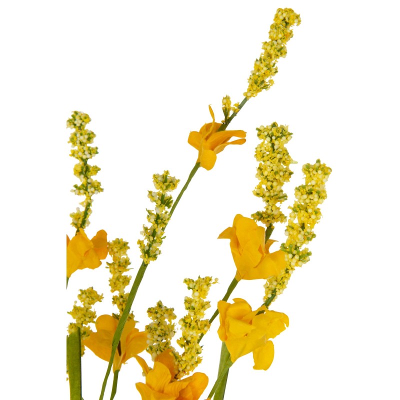 Forsythia en Tige 56