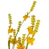Forsythia en Tige 56