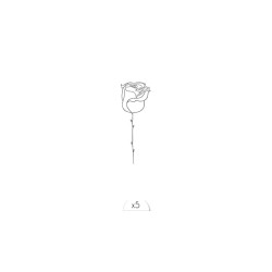 Rose one line Pack de 5 Tattoos