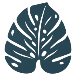 MONSTERA Dessous de plat Bouquet sauvage