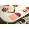 PLACEMASTER set de table s/2