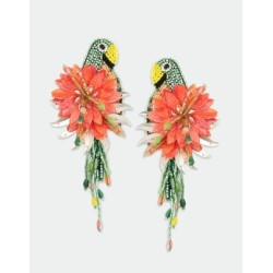 PARROT Boucles d'oreilles