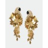PARROT Boucles d'oreilles