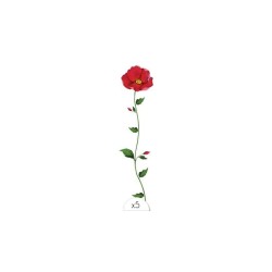 Coquelicot Pack de 5 Tattoos