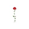 Coquelicot Pack de 5 Tattoos