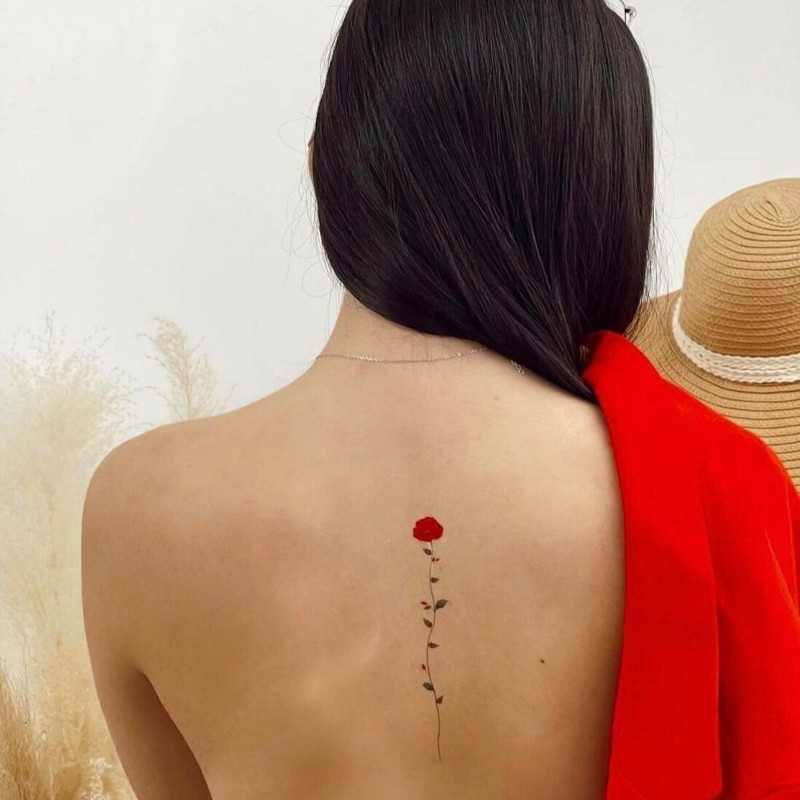 Coquelicot Pack de 5 Tattoos