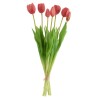 Bouquet Tulipes Rose