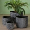 TIAGO pots