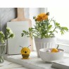 BEE Hoptimist abeille
