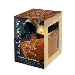 Poudre velour - Cacao scintillant