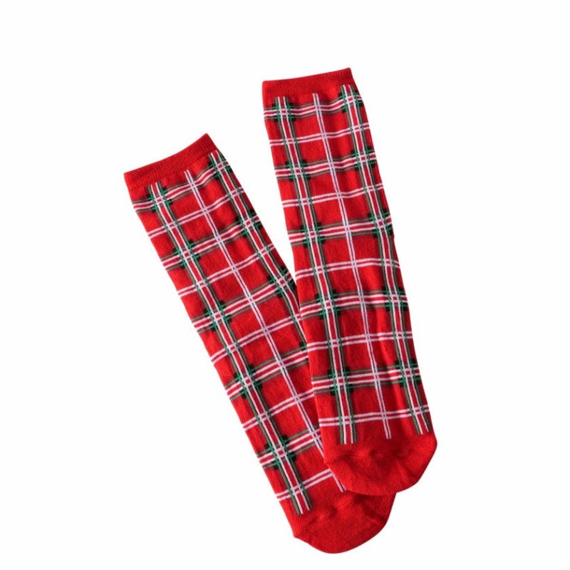 Teckel chaussettes S/2