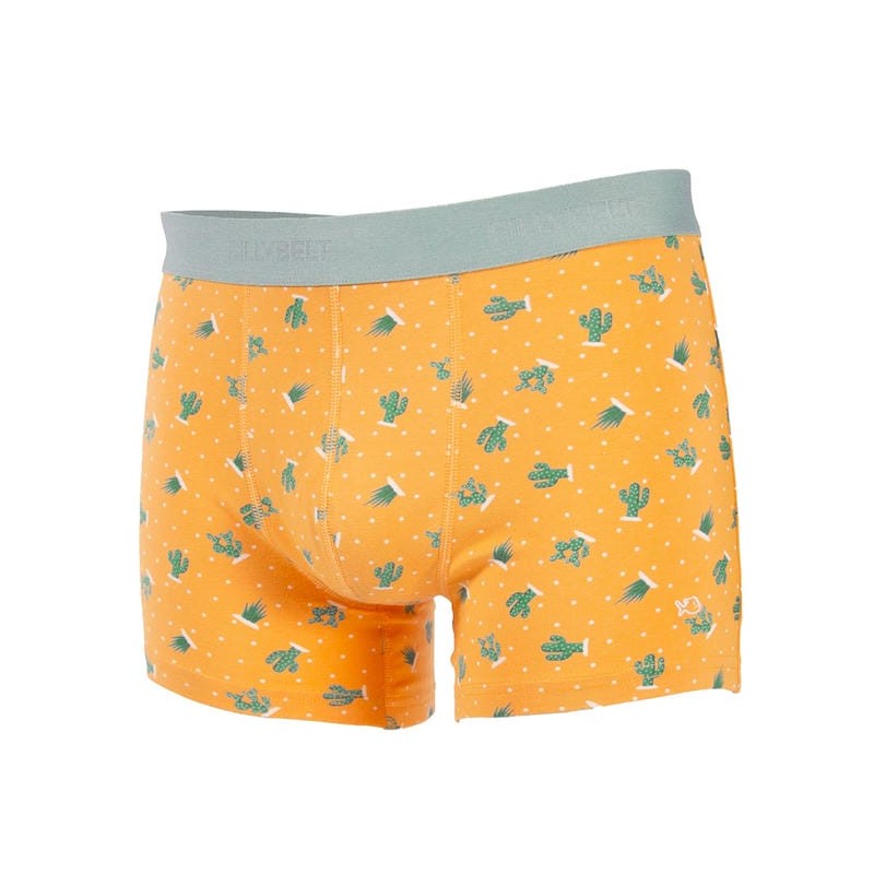 Saguaro - Boxer en coton biologique
