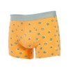 Saguaro - Boxer en coton biologique
