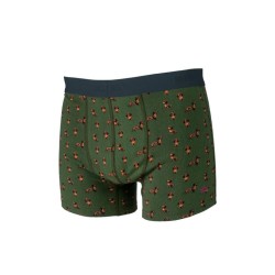 Teckel - Boxer en coton biologique