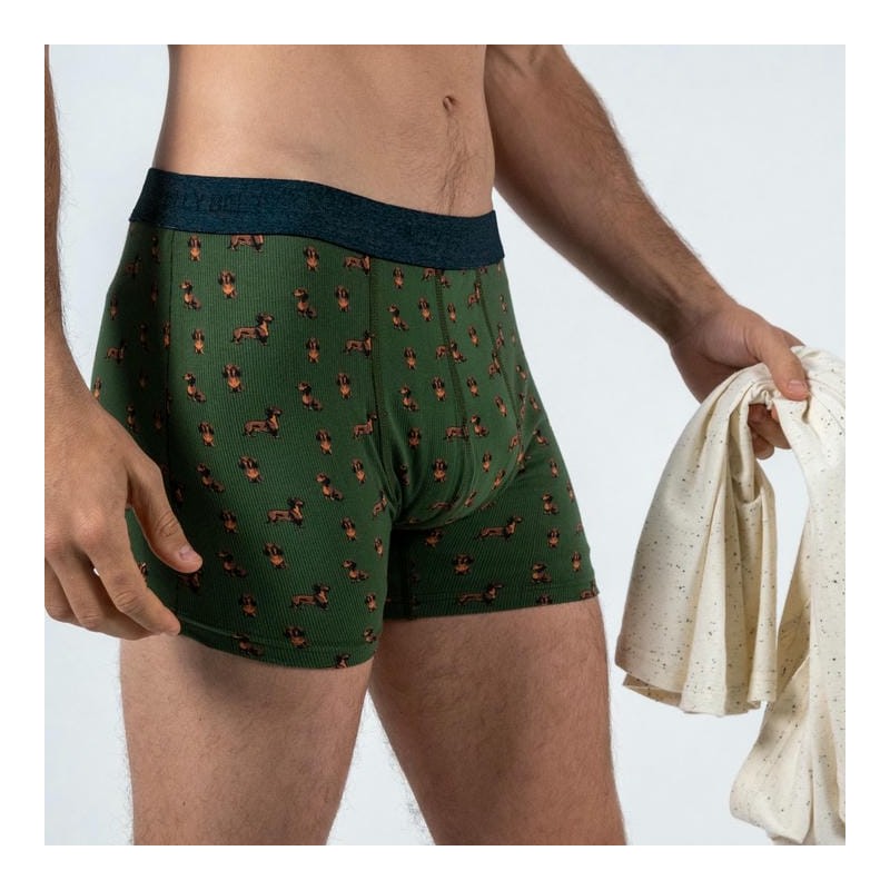 Teckel - Boxer en coton biologique
