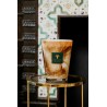 Tichka Baobab Collection Atlas
