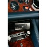 Diffuseur voiture Gun /Platinum