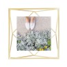 PRISMA Collection Cadre DORE