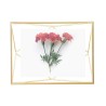PRISMA Collection Cadre DORE