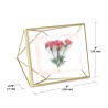 PRISMA Collection Cadre DORE