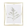 PRISMA Collection Cadre DORE