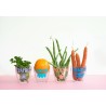Verre Chipie Collection Môme