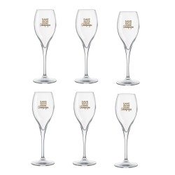 Save Water Drink Champagne /6