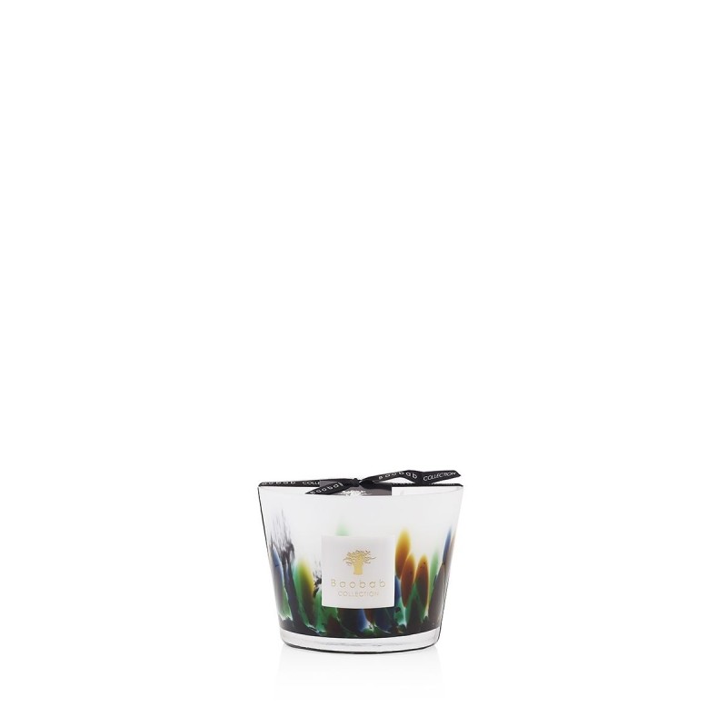 AMAZONIA BAOBAB Collection Rainforest