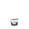 AMAZONIA BAOBAB Collection Rainforest
