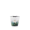 AMAZONIA BAOBAB Collection Rainforest