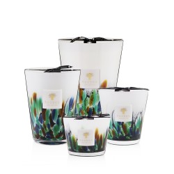 AMAZONIA BAOBAB Collection Rainforest