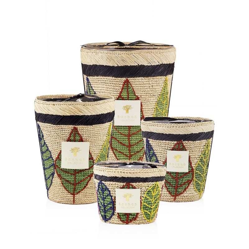 Lamba BAOBAB Collection Ravinstara