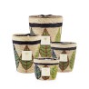 Lamba BAOBAB Collection Ravinstara