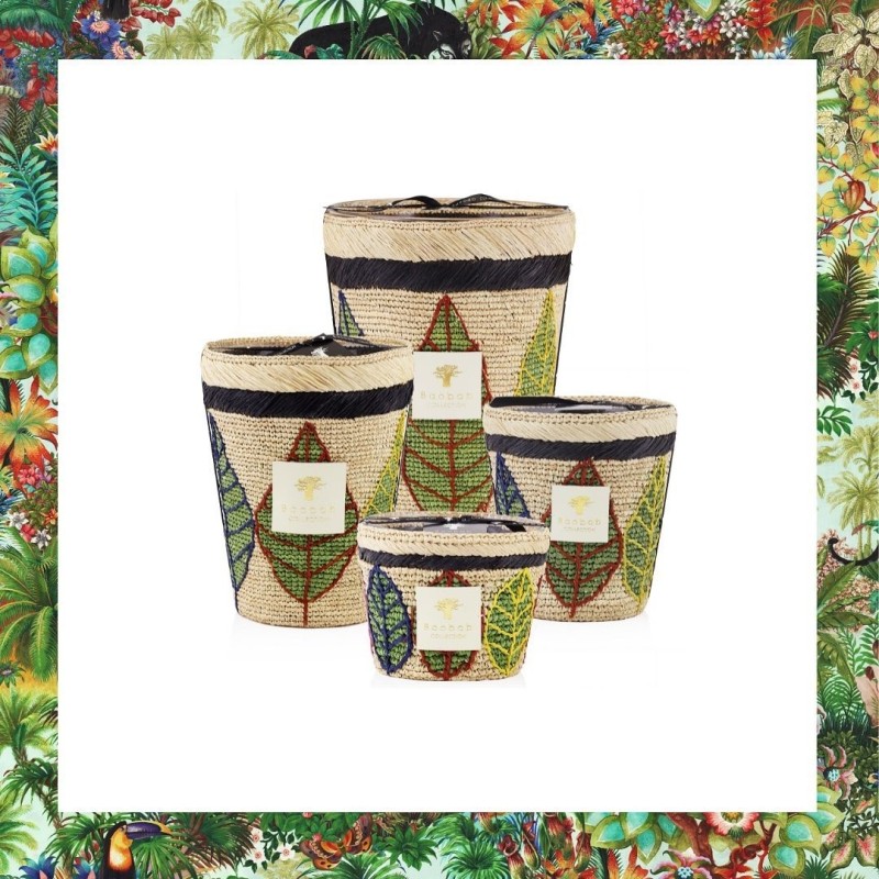 Lamba BAOBAB Collection Ravinstara