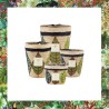 Lamba BAOBAB Collection Ravinstara