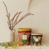 Lamba BAOBAB Collection Ravinstara