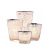 Women BAOBAB collection