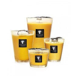 Zanzibar Spices BAOBAB Collection All Seasons