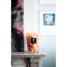 Coral BAOBAB Collection Pearls