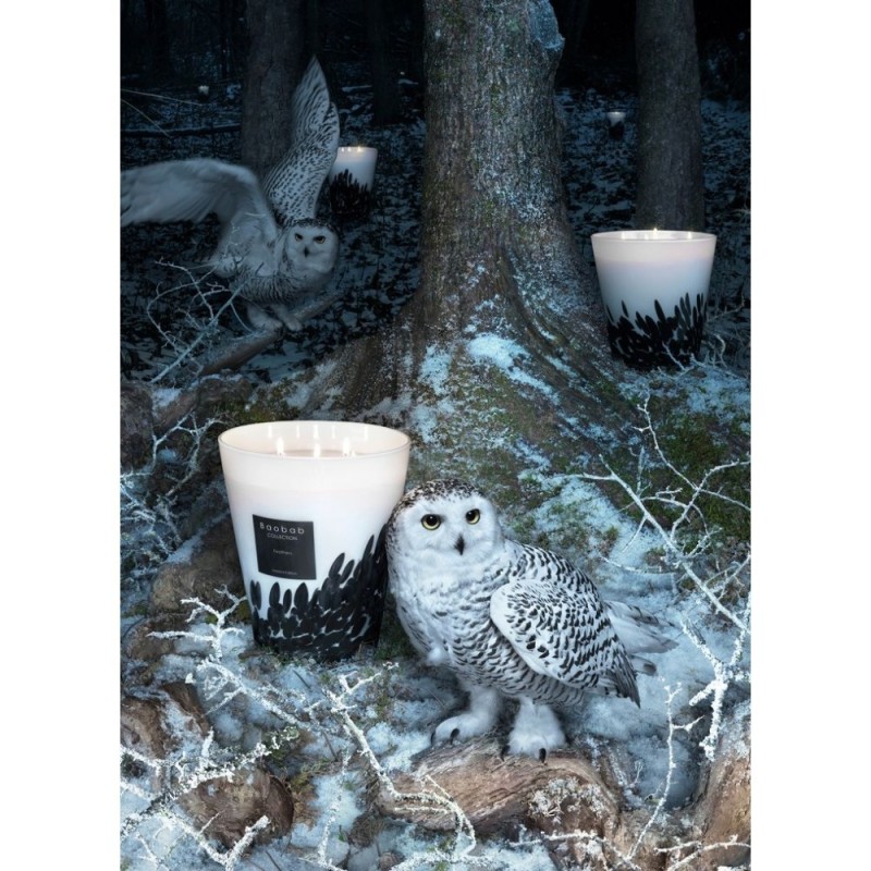 Feather BAOBAB Collection Feathers