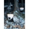 Feather BAOBAB Collection Feathers