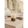 Mayumbe BAOBAB Collection Rainforest