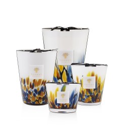 Mayumbe BAOBAB Collection Rainforest