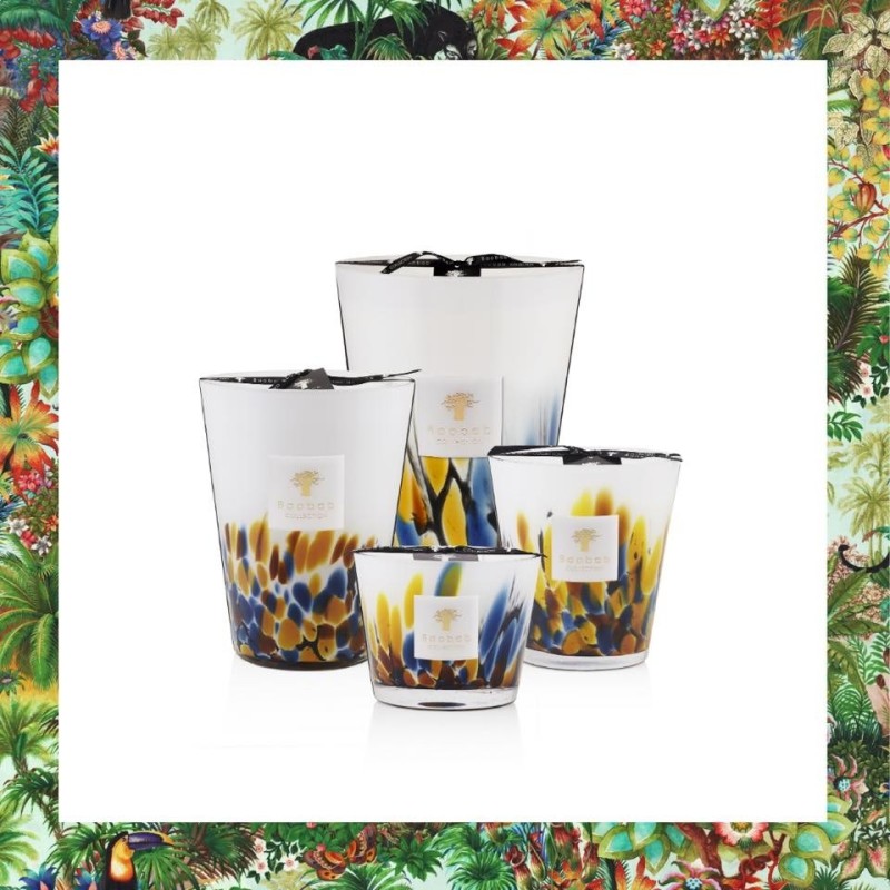 Mayumbe BAOBAB Collection Rainforest