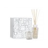 PLATINUM Coffret Cadeau My First Baobab  GiftBox