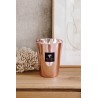 Roseum BAOBAB Collection Exclusives