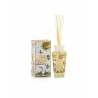 Tomorrowland Edition Limitée 2025 diffuseur My First baobab MFB
