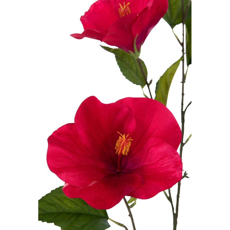 HIBISCUS Tige fleurie Rose fuschia 119